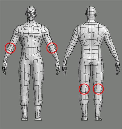 Limbtopology Polycount Wiki Low Poly Models Topology Character