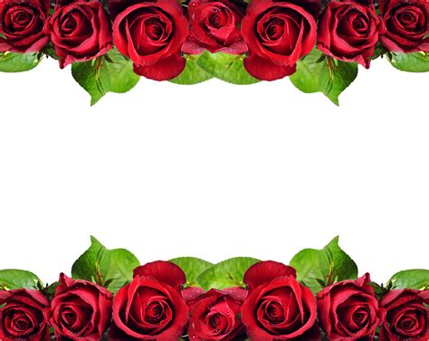 Download Red Roses Border Png Red Roses Border Design Hd Png Image