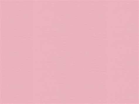 Blush Pink Background