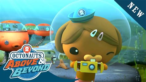 Octonauts Above And Beyond Making New Friends Land Adventures