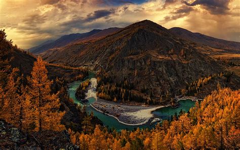 1920x1080px 1080p Free Download Altai Autumn Forest River
