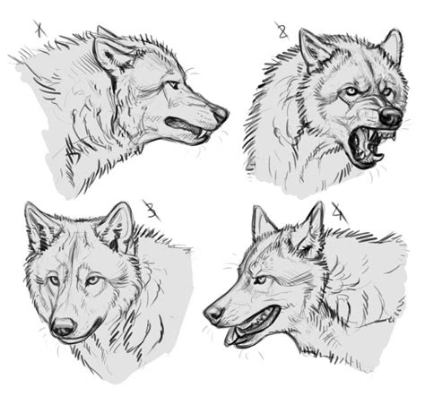 Ych Wolves Ii Sold By Makangeni On Deviantart Wolf Face Drawing