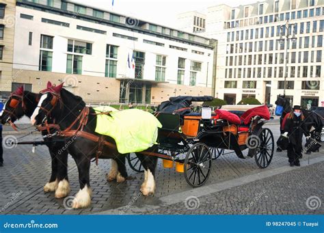 Bavaria Horses Drawn Carriage Germany Style In Berlin Germany