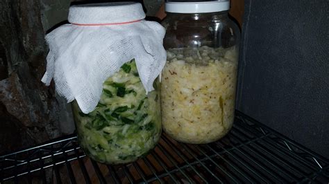 first time fermenting sauerkraut testing one and two r fermentation