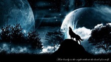 Night Wolf Wallpapers - Top Free Night Wolf Backgrounds - WallpaperAccess