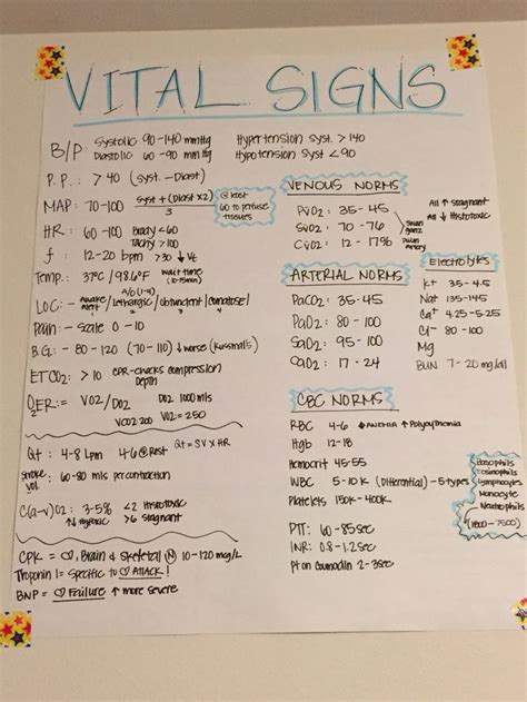 Vital Signs Medical Assistant Student Medical School Studying