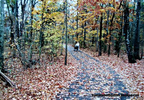 Long Hunter State Park