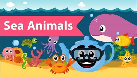 Learn Sea Animals And Wild Zoo Animals Names Colors Video Toys For