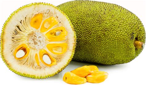 Jack Fruit Information Recipes And Facts