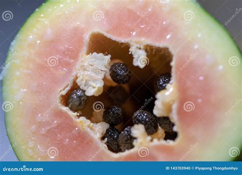 Study Of Flowering And Fruit Structures Stock Photo Image Of Based