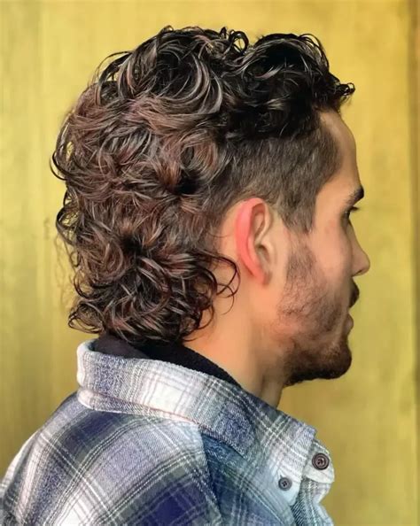 Stylish Modern Mullet Hairstyles For Men Long Hair Styles Men Curly Hair Men Hair And