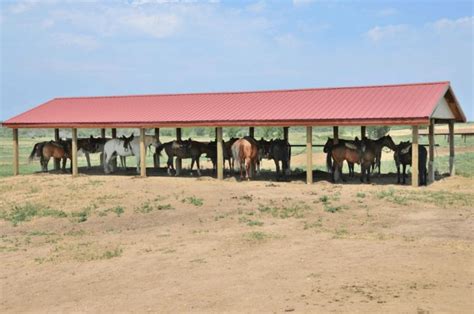 Diy Horse Run In Shelters Easy Set Up For Horse Shelter