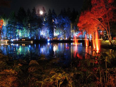 The Enchanted Forest Pitlochry Scotland Intrepid Travel Central
