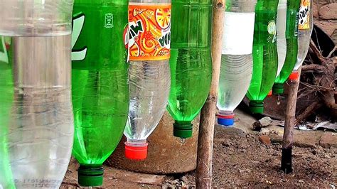 Plastic Bottle Drip Water Irrigation System Very Simple Easy Ll Diy