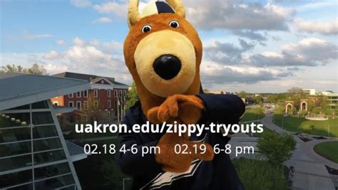 The University Of Akron Zippy Tryouts