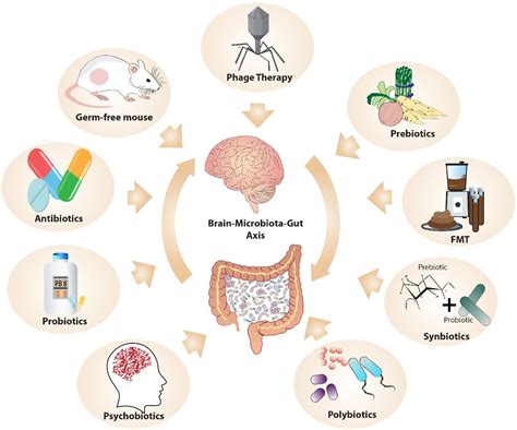 The Gut Microbiome And Mental Health What Should We Tell Our Patients