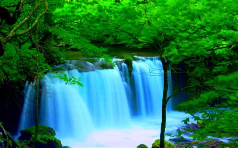 Green Forest Waterfall Hd Wallpaper Background Image 2560x1600