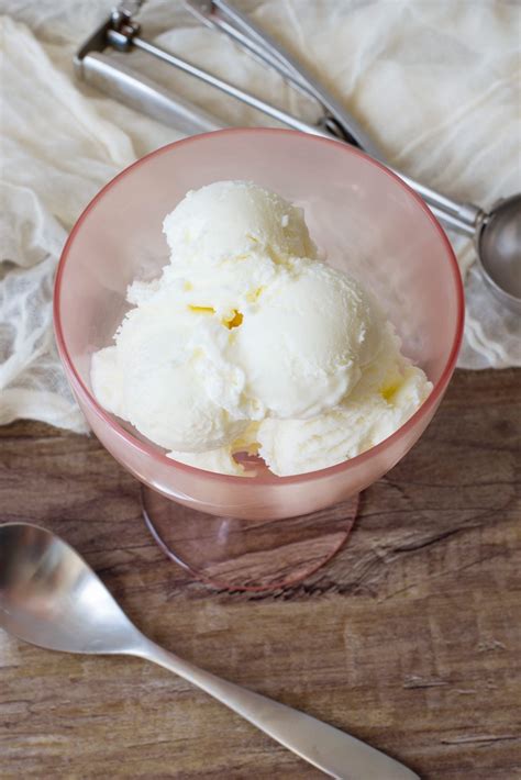 The Best Low Carb Ice Cream Recipe Round Up Coconut