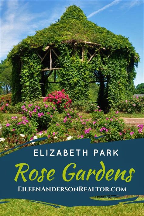 Elizabeth Park Rose Gardens West Hartford Park Rosé Rose Garden