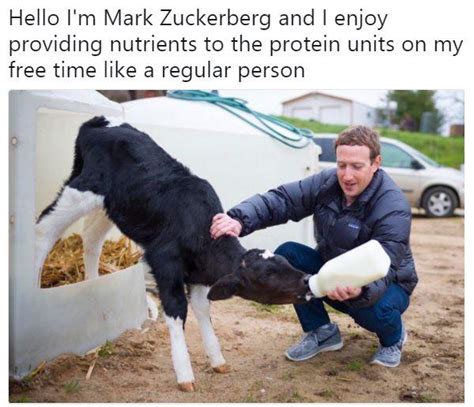Mark zuckerberg says on a facebook live that he is not a lizard person. Mark Zuckerberg Lizard Meme - SEONegativo.com