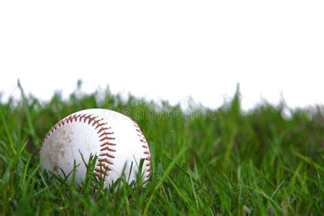 A Baseball In The Grass Stock Photo Image Of Macro Ball 7908002