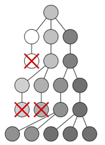 Evolution Flashcards Quizlet