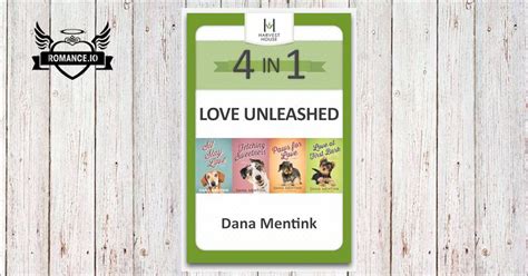 Love Unleashed 4 In 1 By Dana Mentink