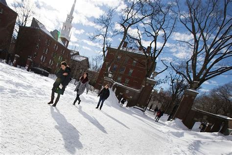 Covering The Snow Harvard Gazette