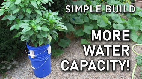 How To Build Better Self Watering 5 Gallon Buckets Diy Wicking