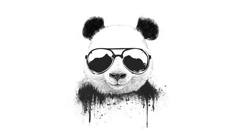 Stay Cool Panda Wallpaper 4k