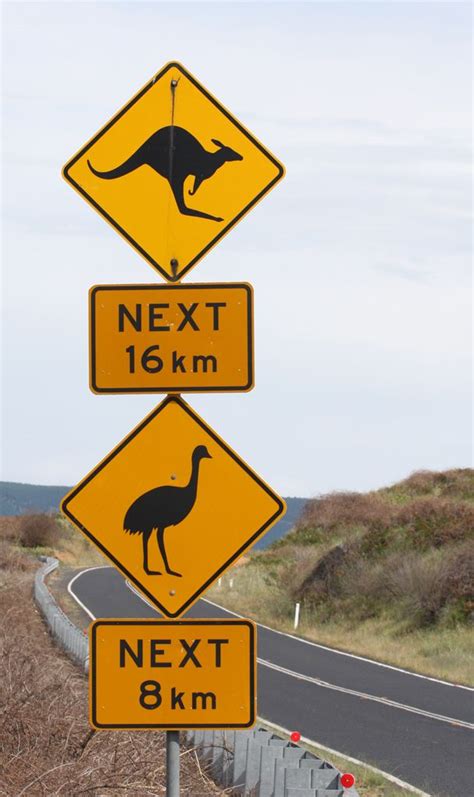 Great Aussie Road Sign Australian Road Signs Australia Day