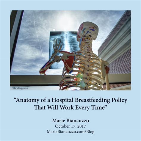 Anatomy Of A Hospital Breastfeeding Policy That Will Work Every Time • Marie Biancuzzo Rn Ms