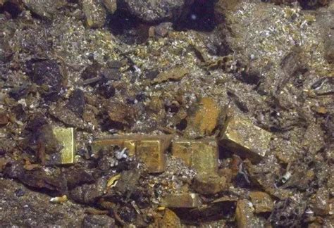 美国沉船上打捞出的宝藏重达21吨黄金重见天日 汤普森 奥德赛 黄金 新浪新闻