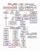 The Family Tree of Mary and Jesus | Ancient & Old Geneologoies ...