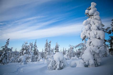 Winter Snow Windows Mobile Wallpapers Nature Landscape