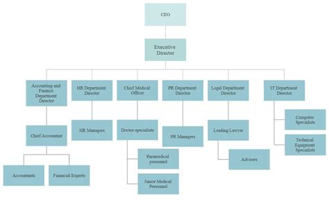 Organizational Structure Of The Private Medical Company Free Essay