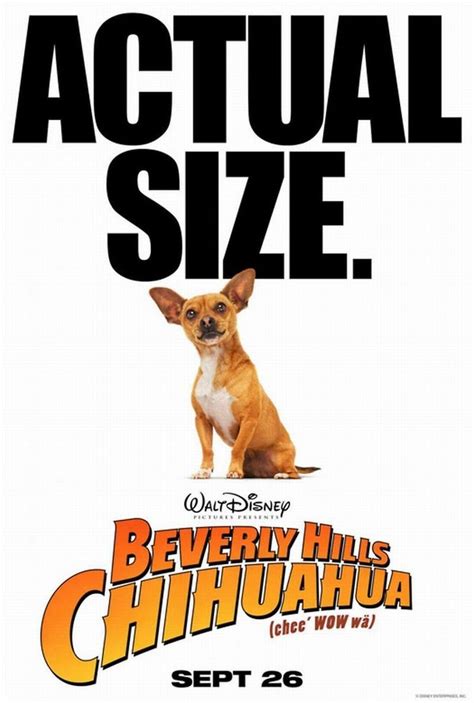 Beverly Hills Chihuahua 2 Dvd Release Date February 1 2011