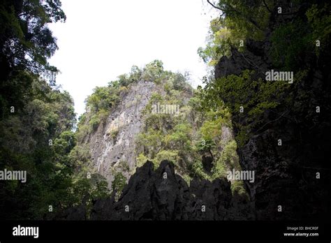 Mangrove Cave Opening In The Middle Of Panak Island Stock Photo Alamy