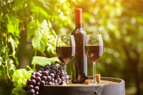 Ce Trebuie Sa Stii Despre Vinul Italienesc Vezi Toata Gama