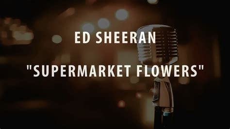 Ed Sheeran Supermarket Flowers Instrumental Karaoke Cover