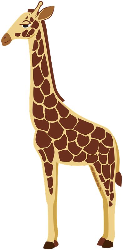 Girafe Image Clipart Téléchargement Gratuit Transparent Png Creazilla