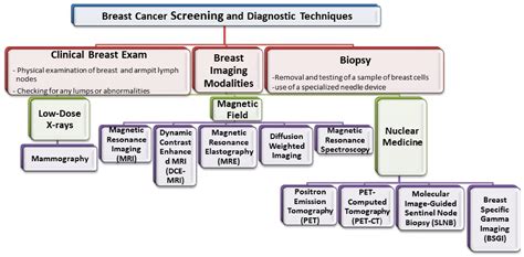 Pharmaceutics Free Full Text Current State Of Breast Cancer Diagnosis Treatment And