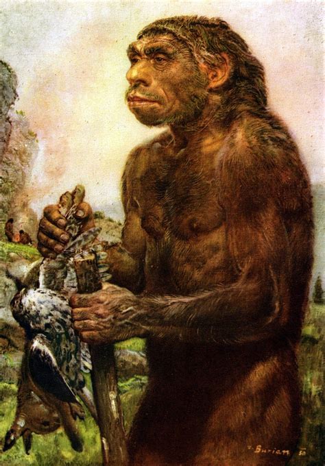 Middle Paleolithic By Zdenek Burian Prehistoric Man Neanderthal