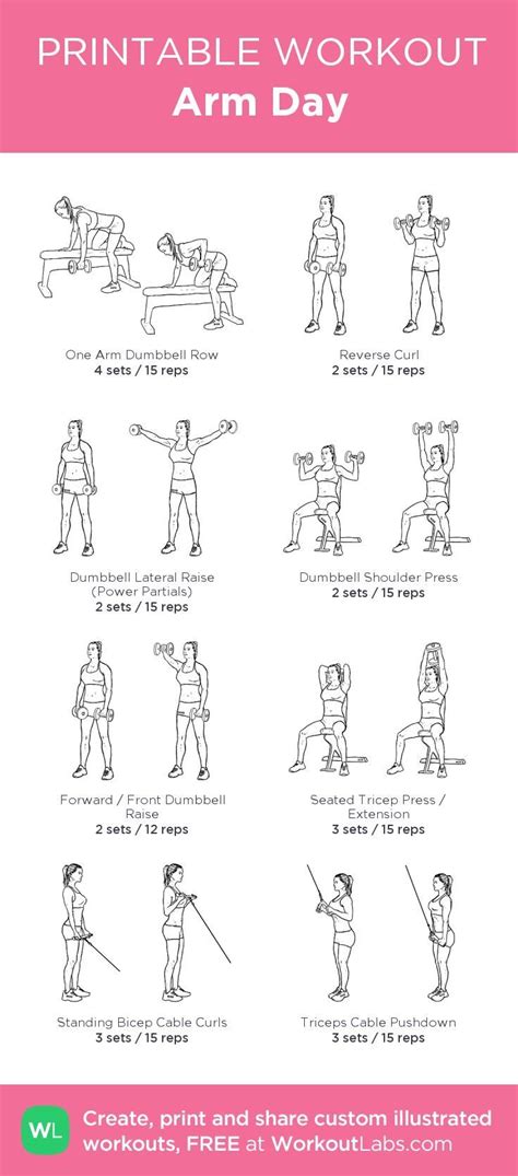 Pin By Cara Canik On New Routine Arm Day Workout Printable Workouts