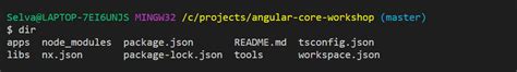 Ng Serve Command Requires To Be Run In An Angular Project But A