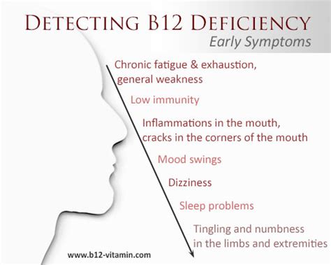 Vitamin B12 An Overview