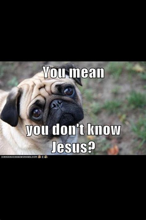 I believe this one is called sweet baby jesus. Pin by Kianna B on Christian memes | Pug love, Cute little dogs, Christian memes