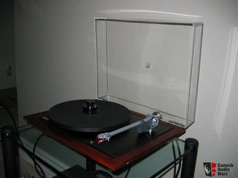 Rega P25 Anniversary Edition Cherry Finish Rb600 Or Rb250 For Sale