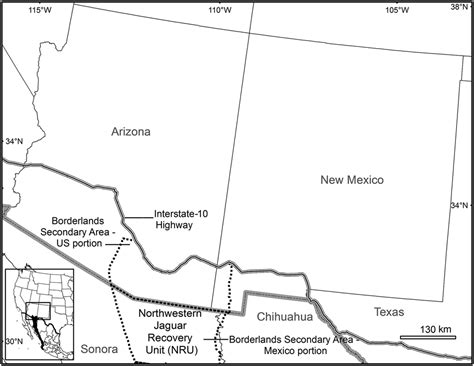 Explore our luxury sedans, suvs and sports cars. (PDF) A systematic review of potential habitat suitability ...
