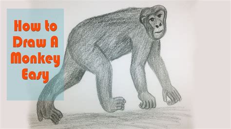 My kids most of all like to color animals. How to draw a Monkey - Drawing animal for kids - YouTube